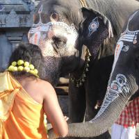 20051118_Photo_1006_Ananda Ula 2005 Kanchipuram 007_CMP_WM